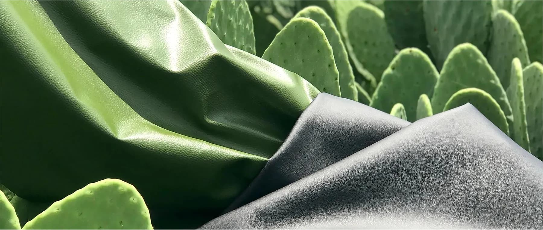 0000 article cuir vegan photo01 1800x